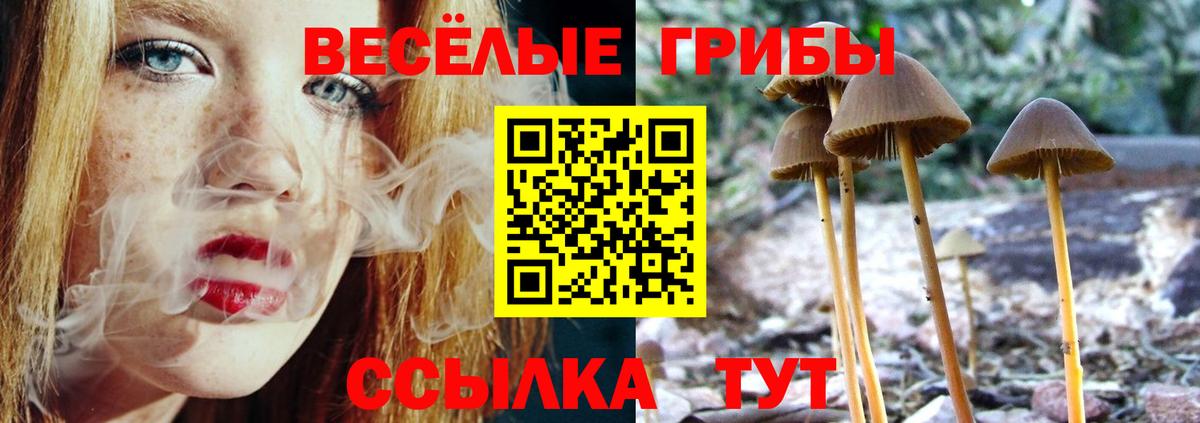 Буйнакск  Галлюциногенные грибы ЛСД  Псилоцибиновые грибы прущие грибы  Вход с VPN 