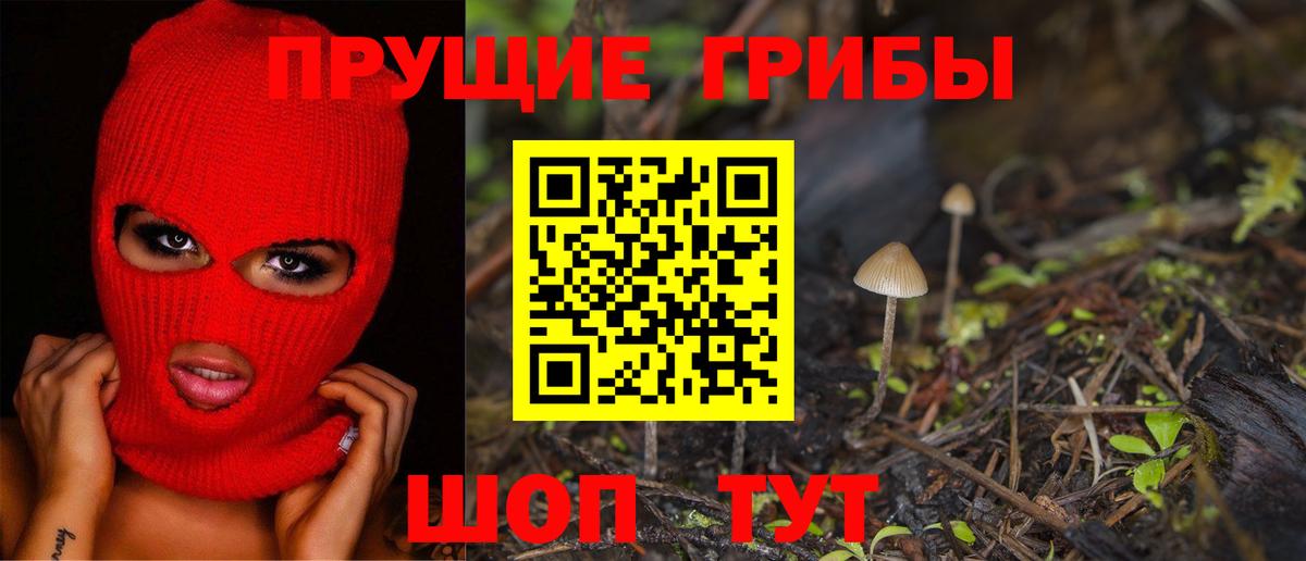Галлюциногенные грибы Psilocybe Буйнакск