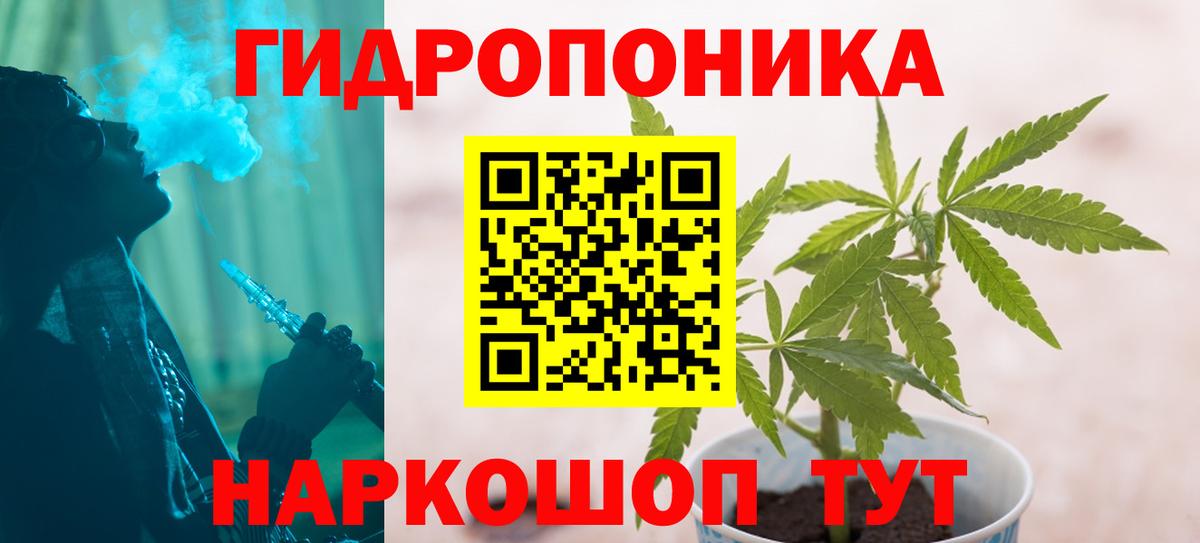 Марихуана OG Kush Буйнакск